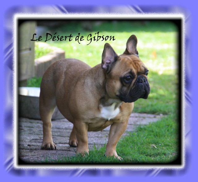 Irinka du domaine de Bodaway