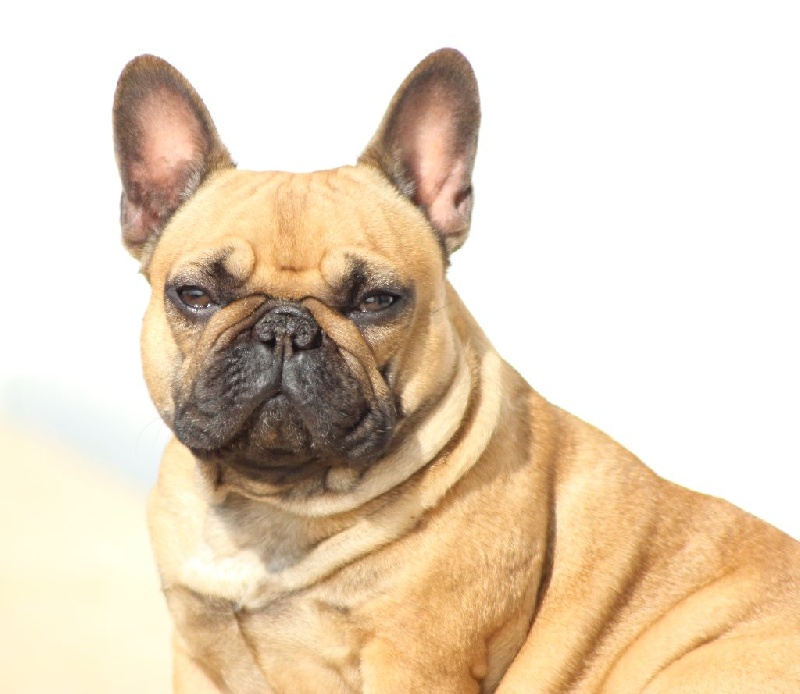 Idunn du domaine de Bodaway