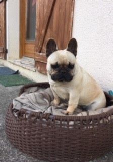 Indiana-bella du domaine de Bodaway