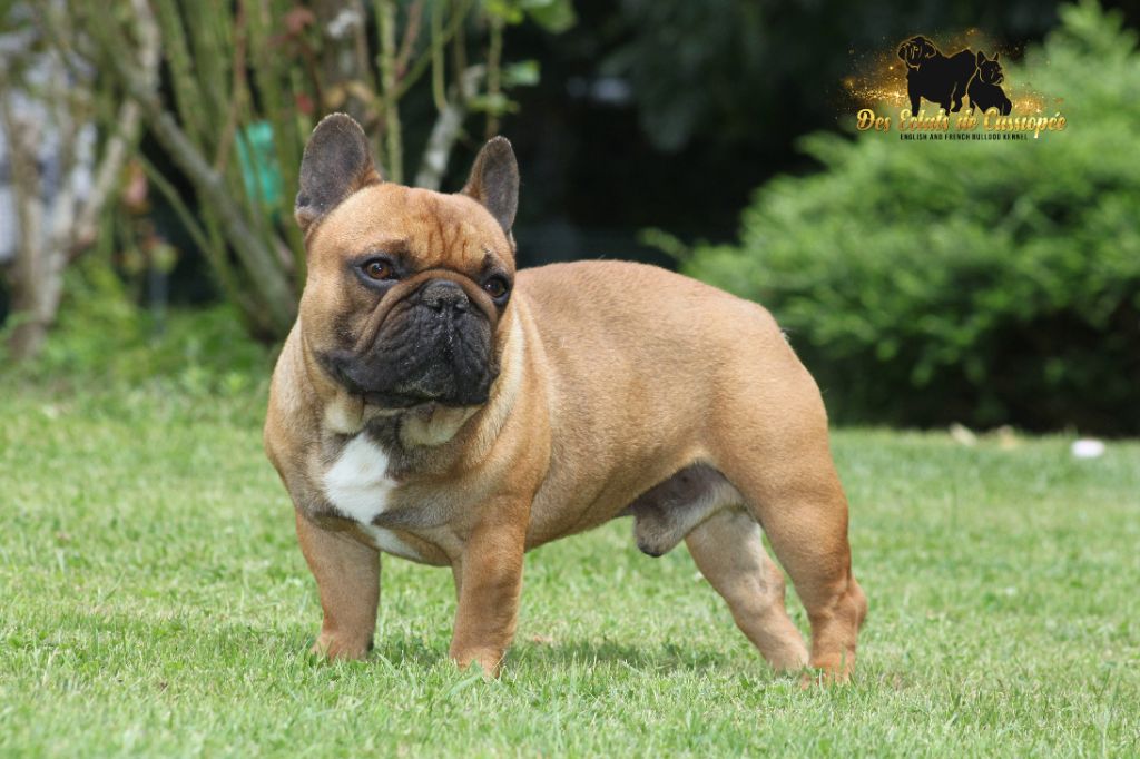 Mao du domaine de Bodaway