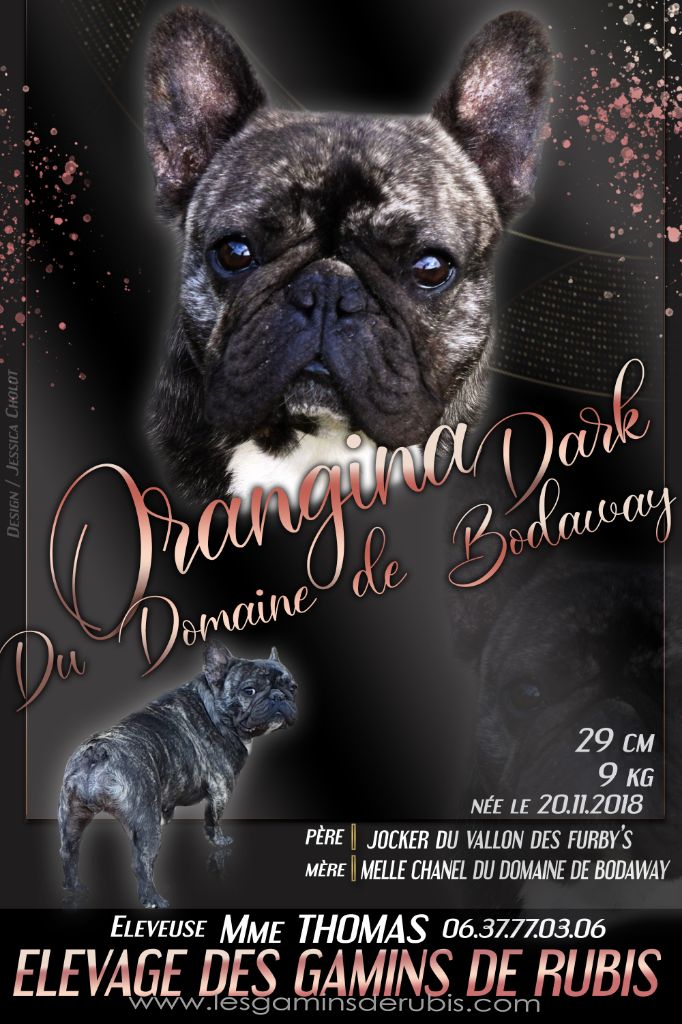 Orangina dark du domaine de Bodaway