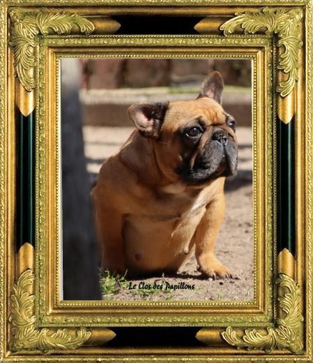 Nawalka du domaine de Bodaway