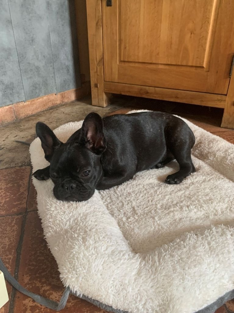 Thaila du domaine de Bodaway